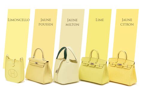 hermes jaune milton|Mehr.